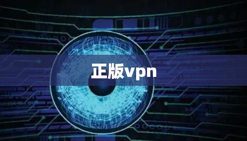 正版vpn